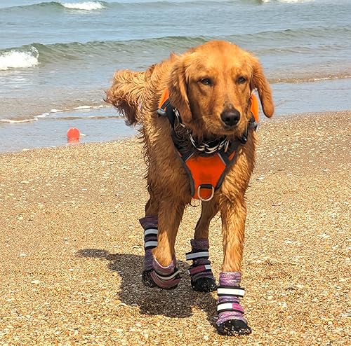 Miniatura 5 de Botas protectoras para patas de perro de neopreno ligero Bark Brite, diseñadas para la comodidad y transpirabilidad en 5 tallas (Lavanda Lg)