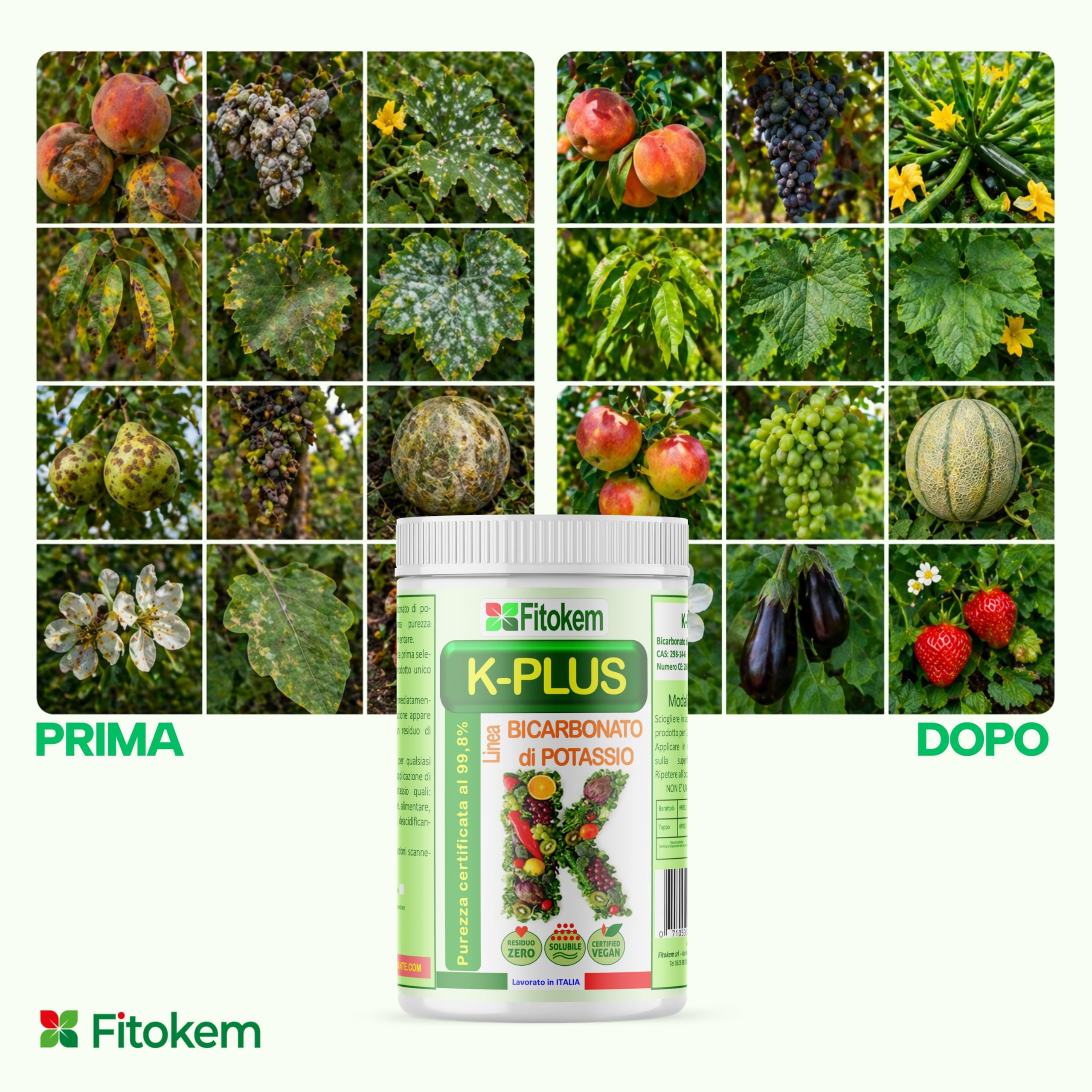 Fitokem K Plus Bicarbonato di Potassio 1KG Fertilizzante Fungicida Universale per Piante
