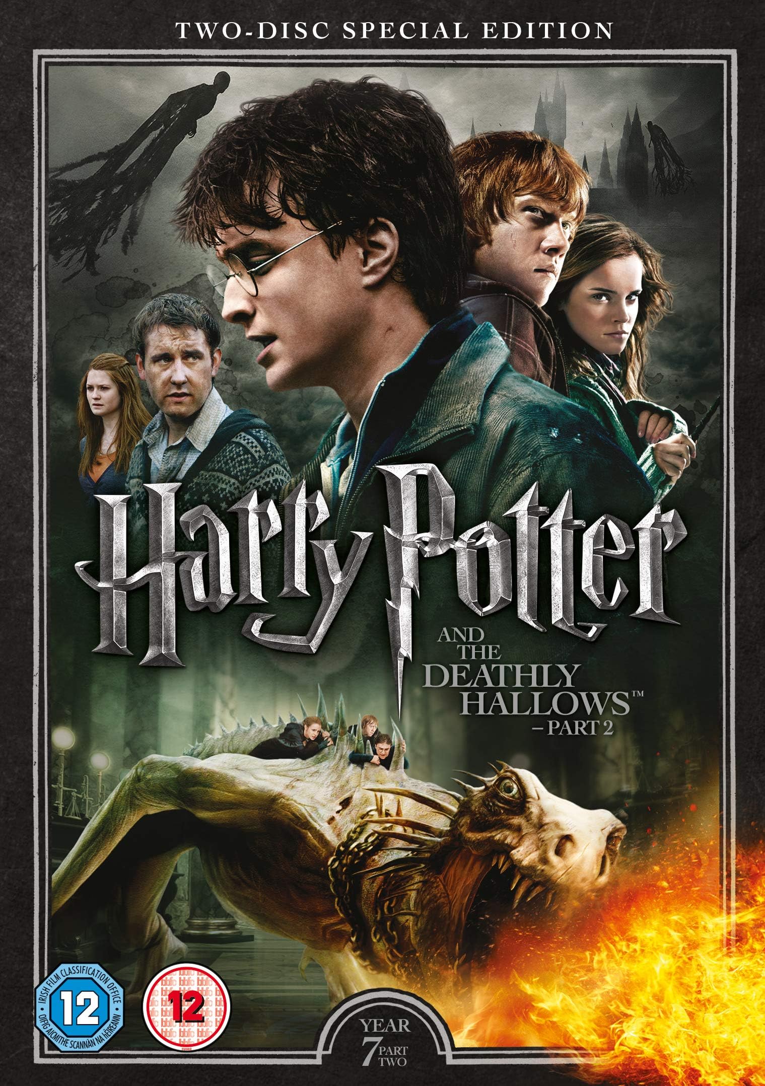 Harry Potter and the Deathly Hallows - Part 2 [Year 7] [2016 Edition 2 Disk] [DVD] [2011]