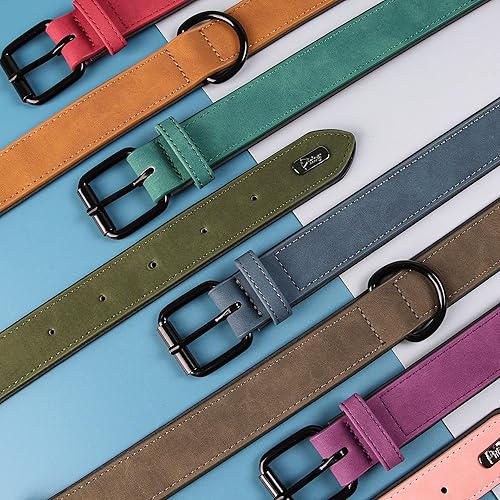 Miniatura 4 de Didog Collar de cuero acolchado suave para perro, collar de cuero transpirable resistente con hebilla de metal ajustable a prueba de óxido para