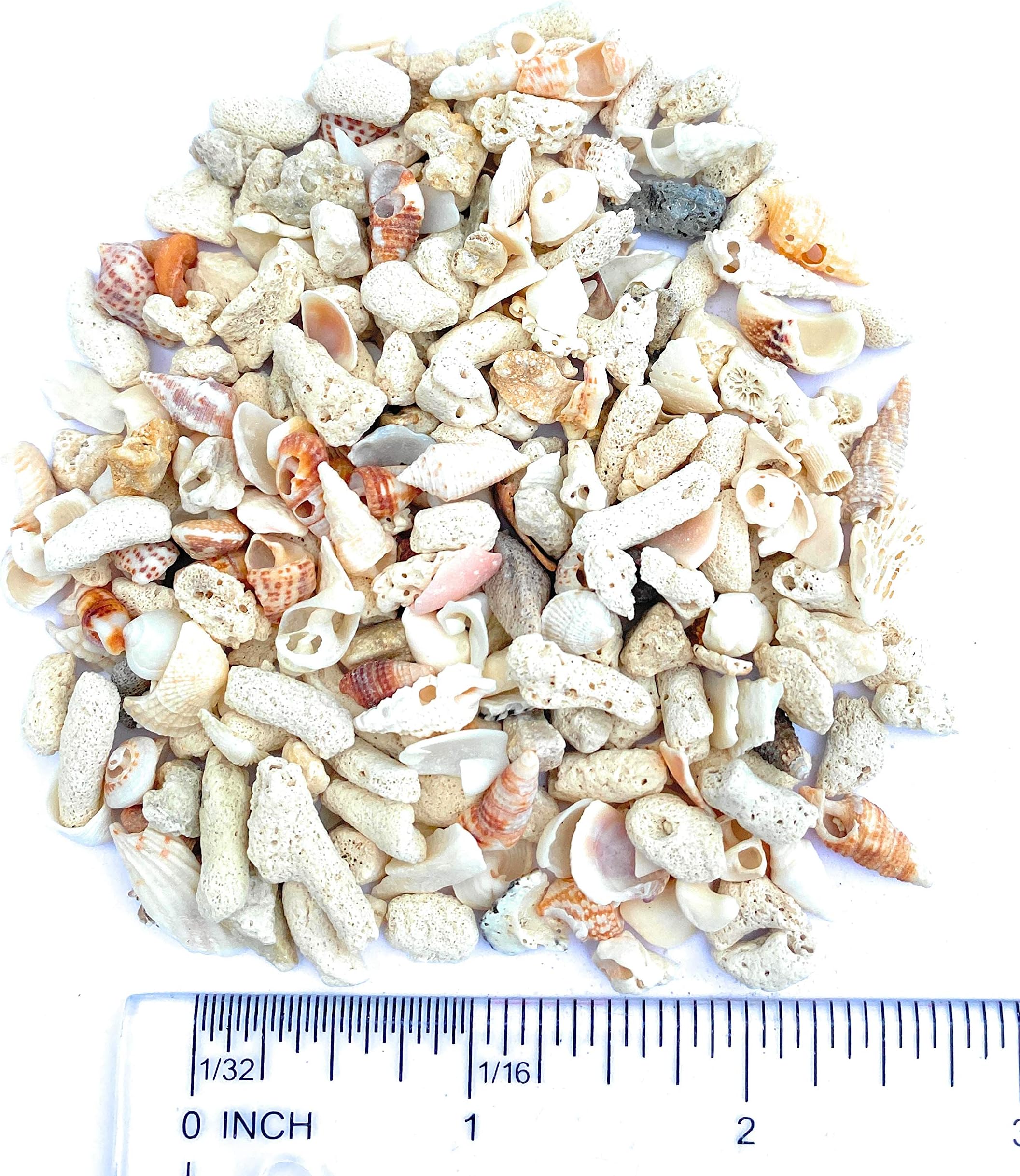 Middle Keys Marine Life LLC FINE Florida Keys Crushed