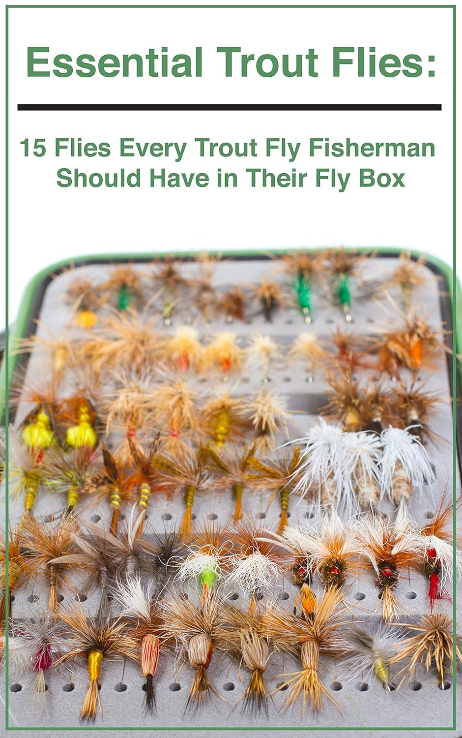 Amazon.co.jp Essential Trout Flies 15 Flies Every Trout Fly Fisherman