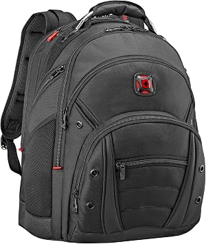 Wenger Synergy Pro Laptop Case, Backpack, 3-foot by 16-inch kit, Synergy 16" Backpack