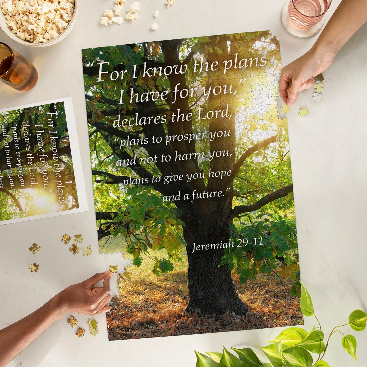 "Lantern Press Jeremiah 29:11, Inspirational, 1000 Piece Jigsaw Puzzle for Adults, Made in USA with Reference Poster"