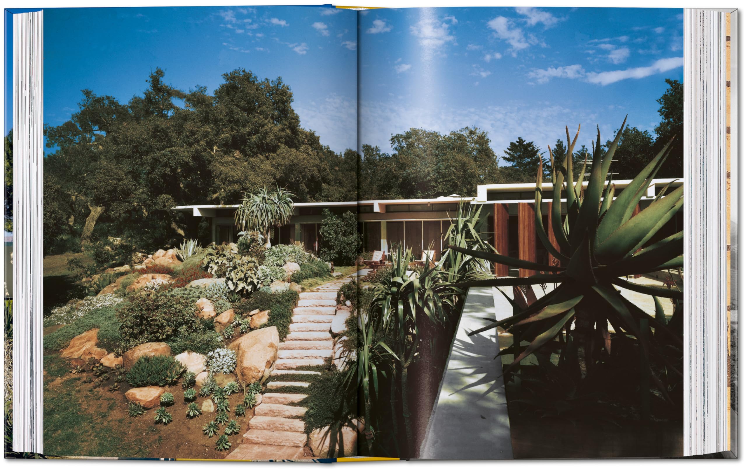 Neutra: 45th Ed. (45th Edition)