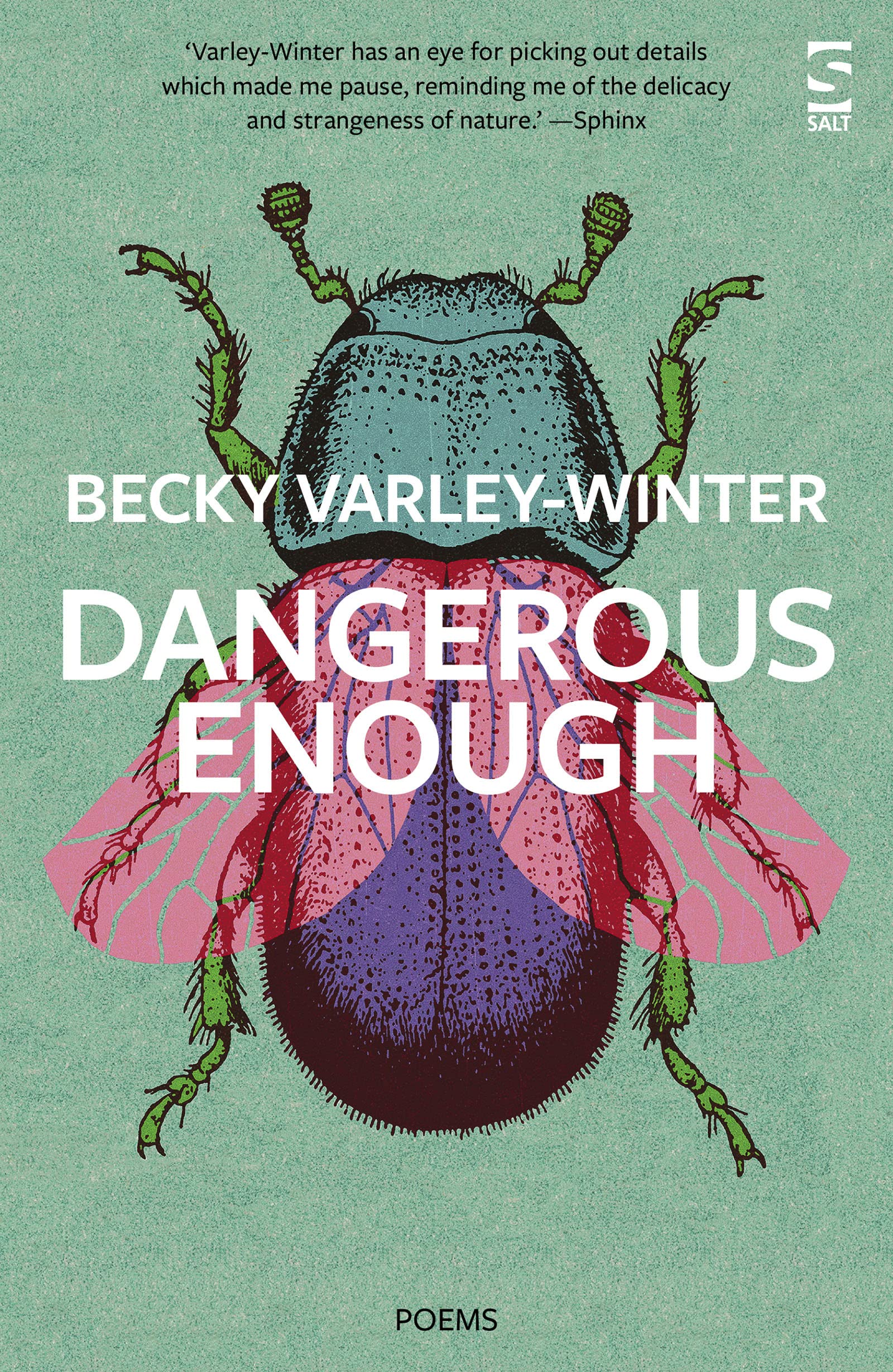 Dangerous Enough (Salt Modern Poets)