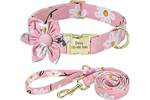 Custom Flower Girl Dog Collar and Leash with Daisy Print