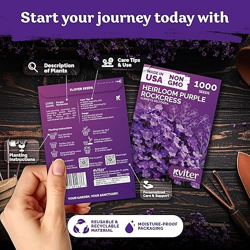 Miniatura 2 de KVITER 1,000 semillas de aubrieta lila perennes (Aubrieta deltoidea) - Semilla de aubrieta, lila silvestre, semillas de cobertura de suelo no-GMO y