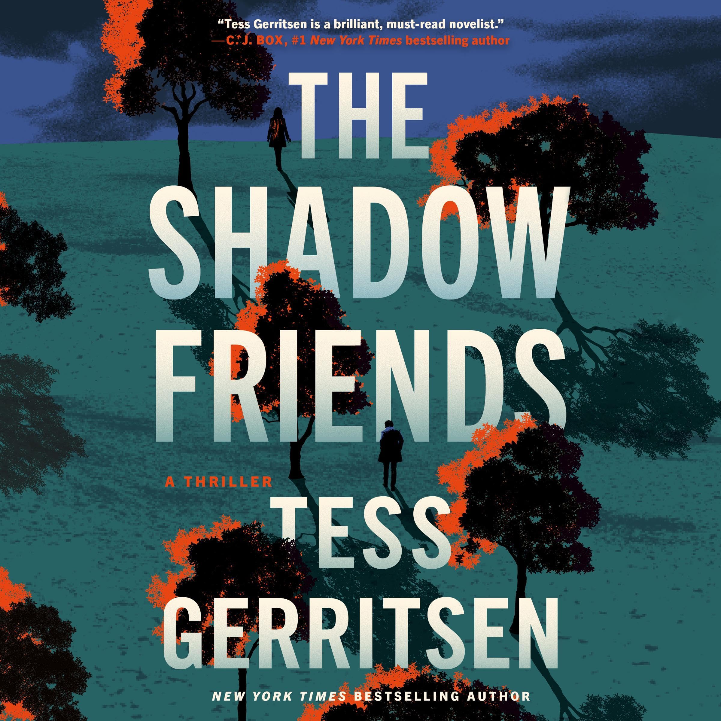 Cover art for The Shadow Friends