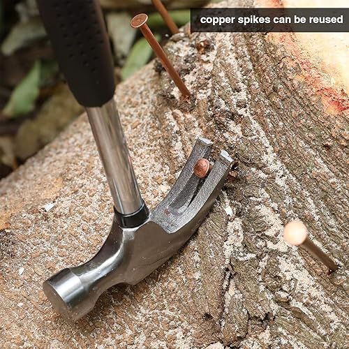 Miniatura 7 de Frienda 20 clavos de cobre para matar árboles, raíz de tocón, 3.5 pulgadas de largo para matar árboles, picos de eliminación de tocones con 2 clavos