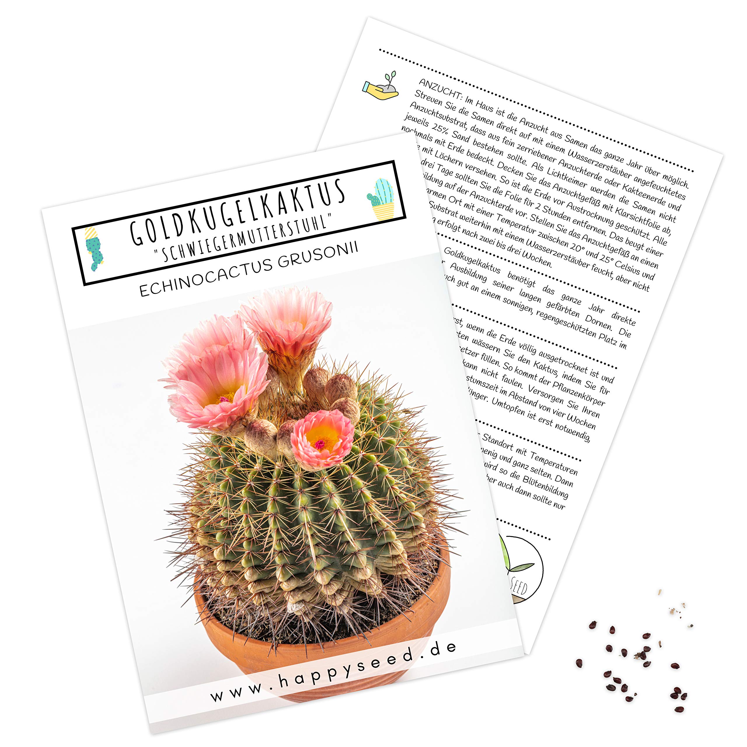 Auergewhnliche Kakteen Samen mit hoher Keimrate - Sukkulenten Samen Set  fr deinen eigenen wunderschn blhenden Kaktus (1x Goldkugelkaktus) :  Amazon.de: Garten