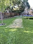 Review Image by Amazon Customer