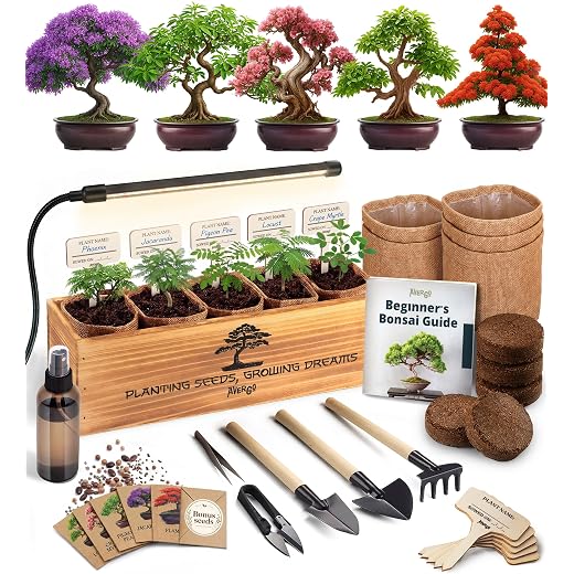 Bonsai Tree Kit Deluxe + Growing Light - 5X Unique Japanese Bonzai Trees