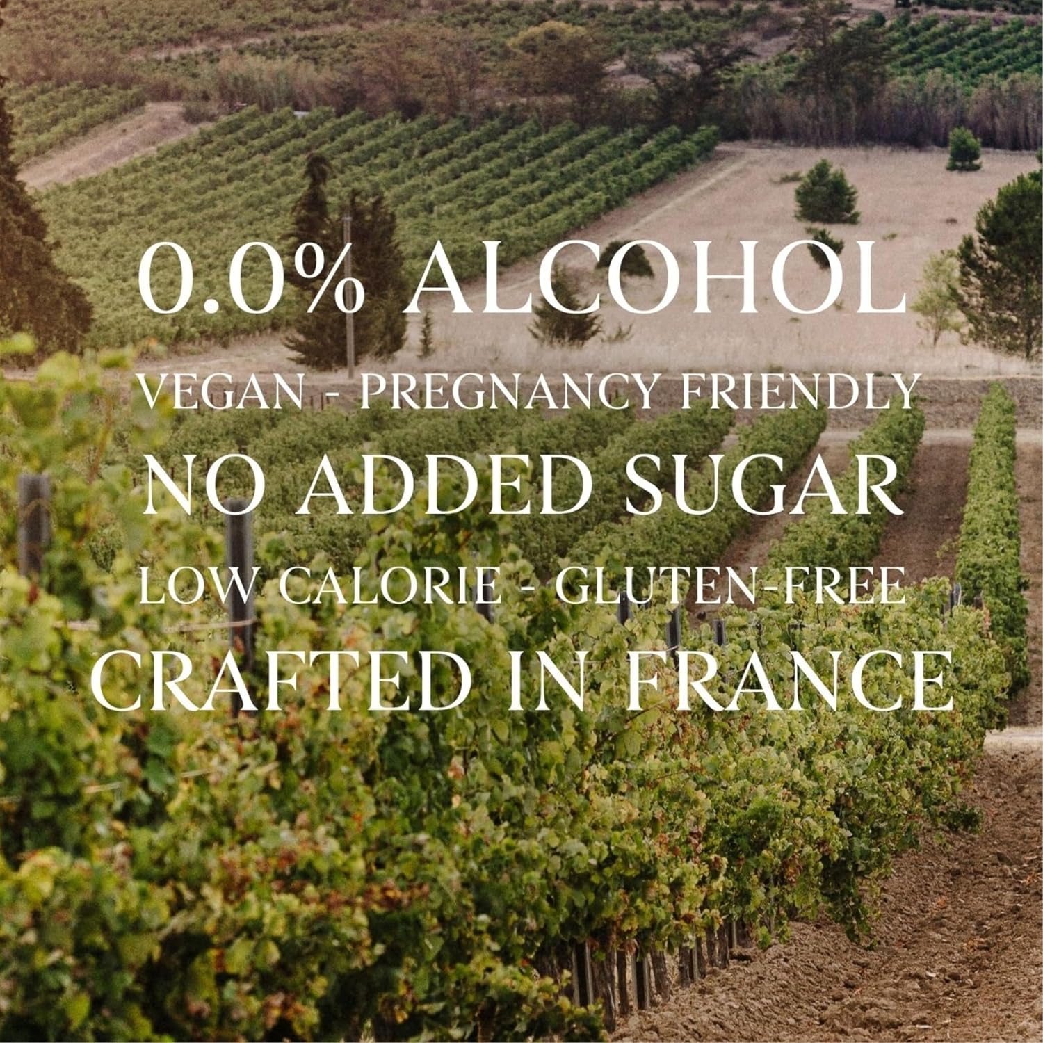 French Bloom Le Rosé and Le Blanc - Alcohol-Free Sparkling Wine, 750ml - Certified Organic, Vegan, Low Calorie,Sulfite-Free - Made with Fine Organic Wine, No Preservatives or Added Sugar