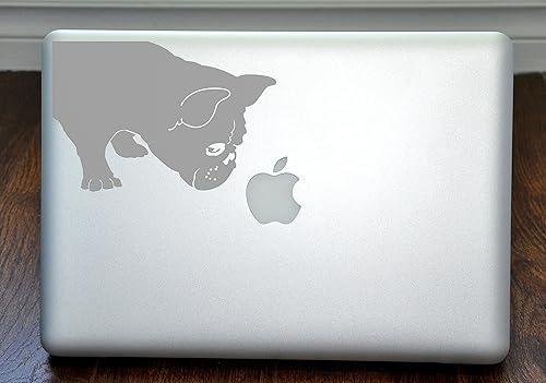 Calcomanía plateada para portátil de 13 pulgadas