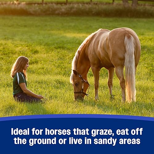 Miniatura 5 de Farnam SandClear Psyllium Crumbles Suplemento para caballos, ayuda a eliminar la arena del colon y apoya la salud digestiva, sabor a manzana/melaza