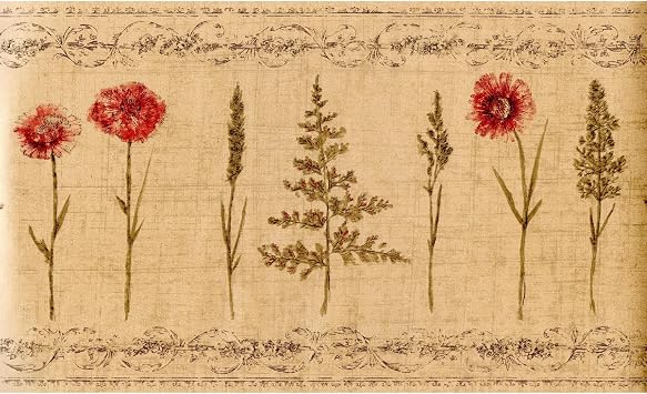TRIMZ Botanical Wildflower Wallpaper Border 10.25 in, Kitchen