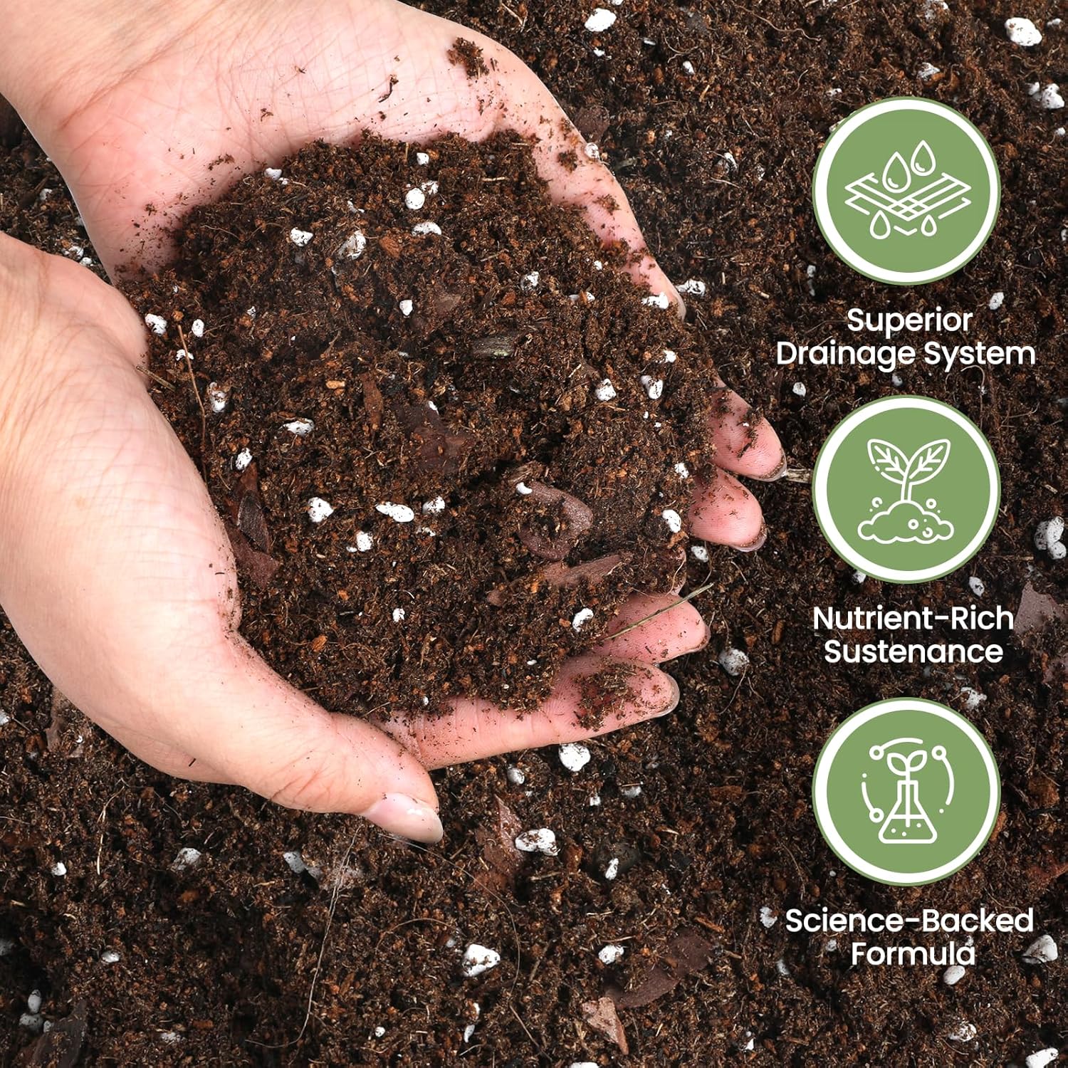 Avocado Soil 10qt, 100% Natural Organic Potting Soil for All-Stage Avocado Tree Growth