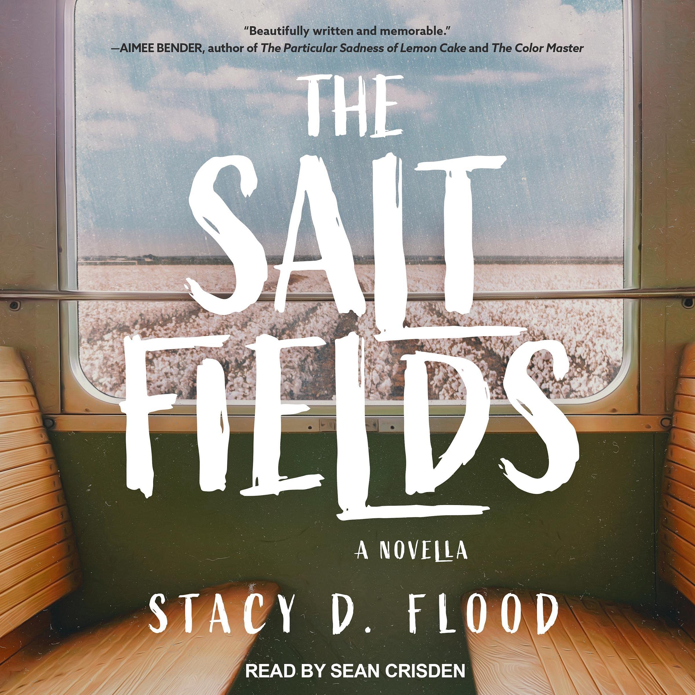 The Salt Fields