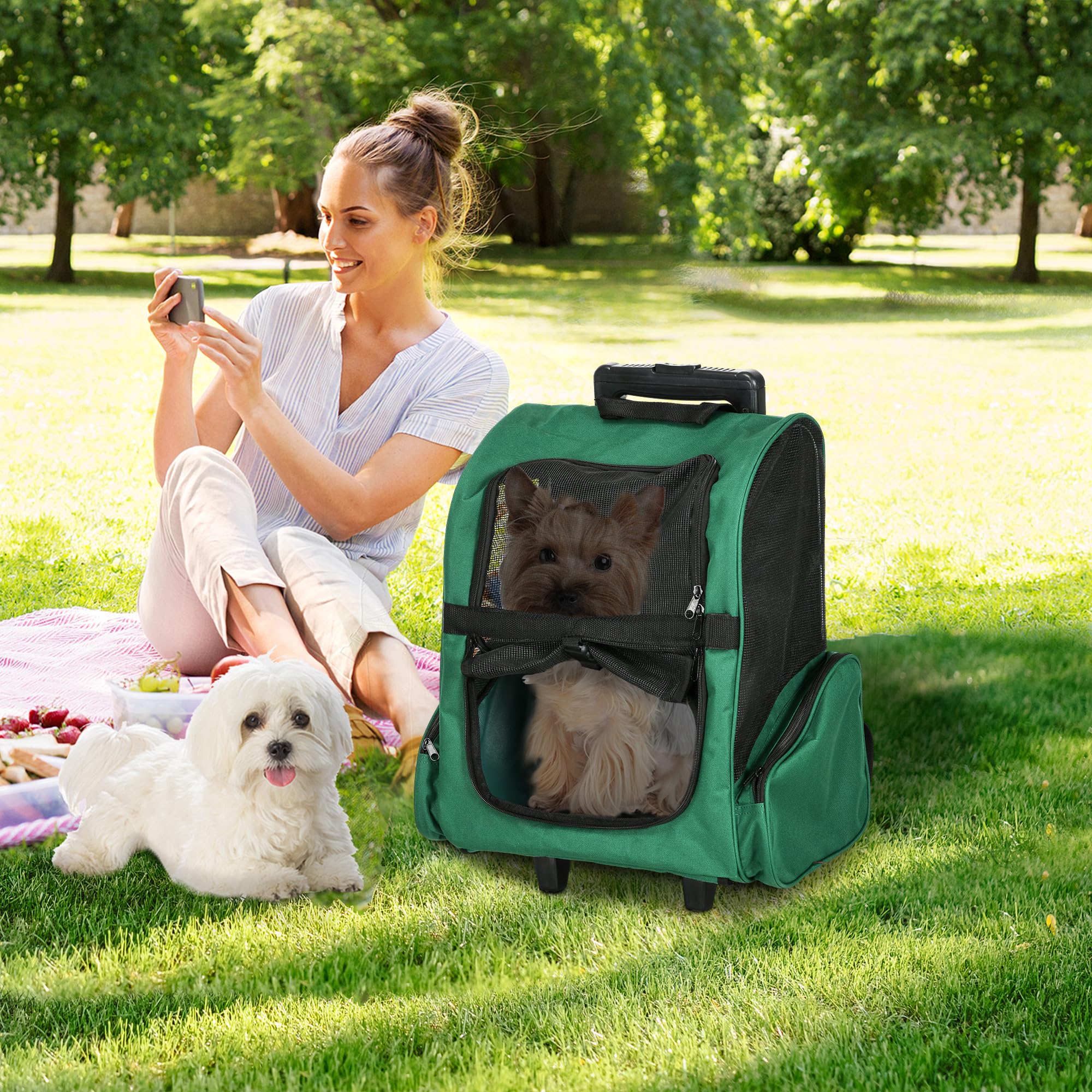 PawHut 2-in-1 Rucksackträger für Haustiere mit Rädern 42x25x55cm Grün
