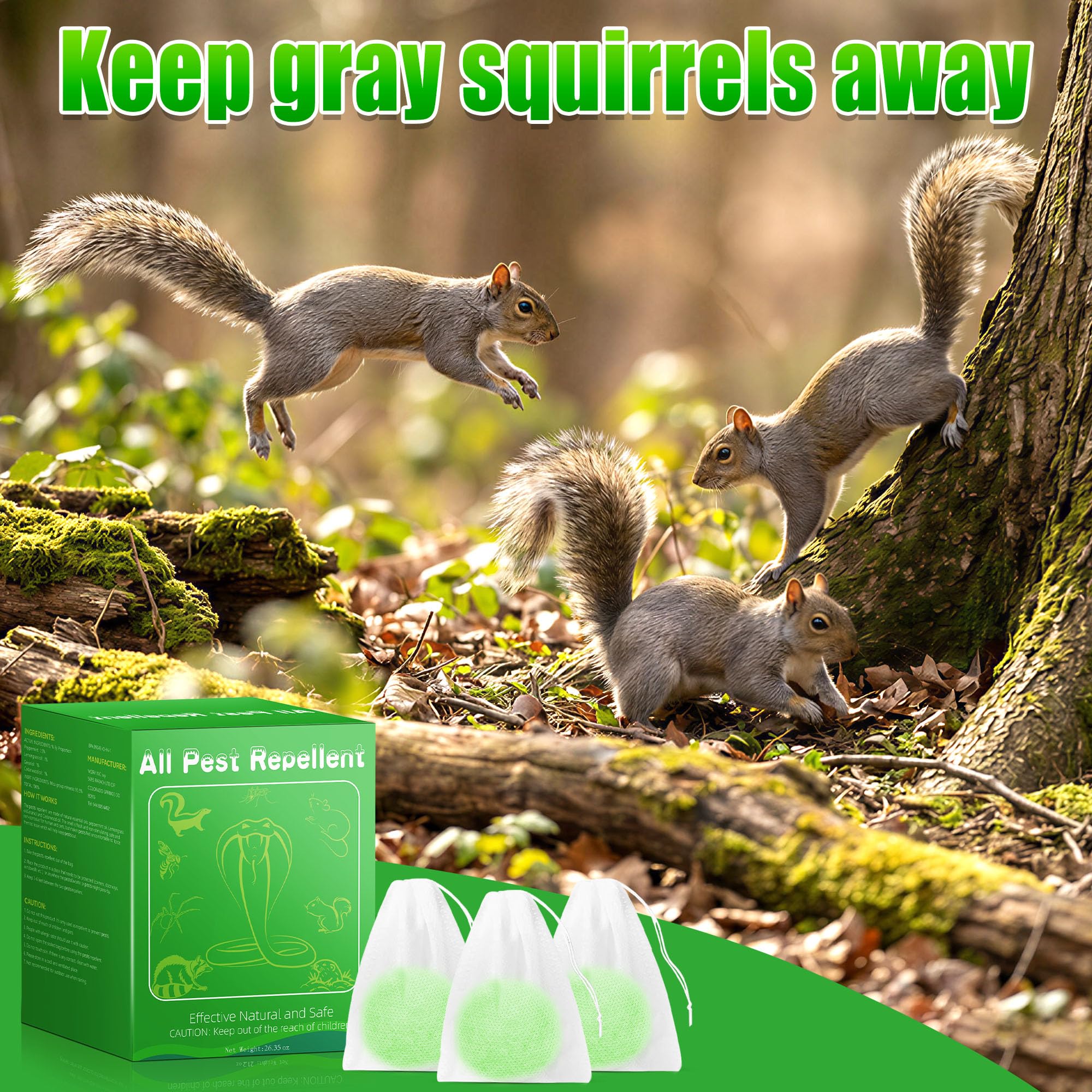 View 5