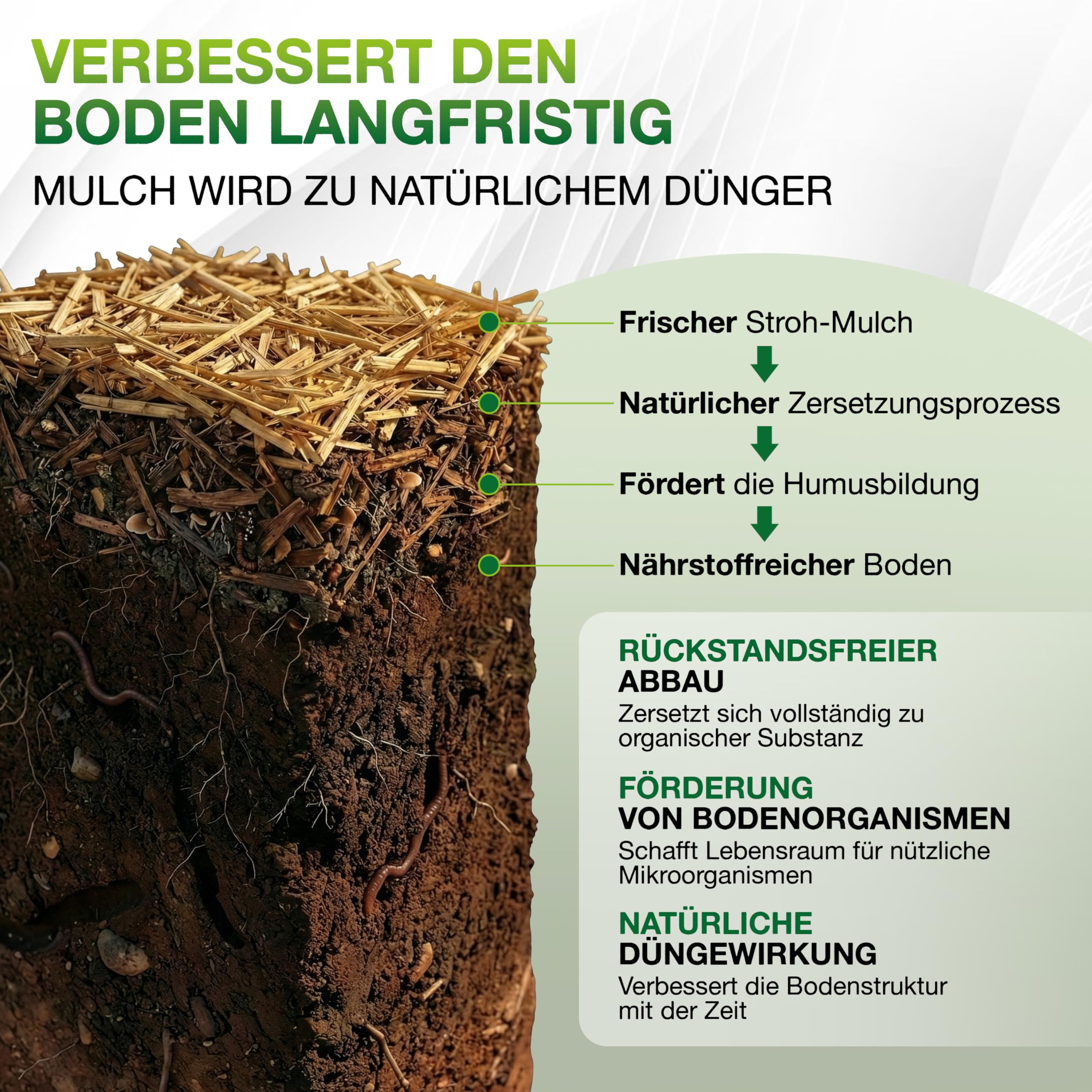 Jumbogras Miscanthus-Mulch 70 L – Rindenmulch-Alternative aus Chinagras/Elefantengras Häcksel – äußerst pflanzenverträglich – geeignet für Gemüse, Kräuter & co. – Schutz vor Unkraut & Austrocknung