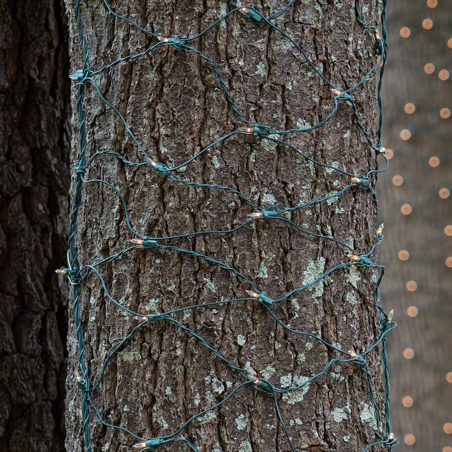 Kringle Traditions Clear Christmas Trunk Wrap Lights with 100 Lamps on Green Wire, 2' x 8'