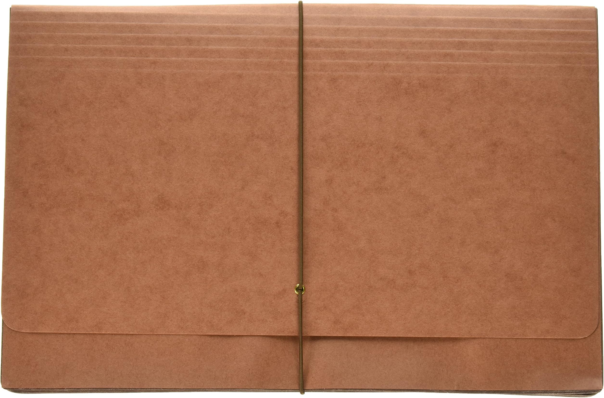 Pendaflex B1060E Expanding Wallet, 3 1/2 Inch Expansion