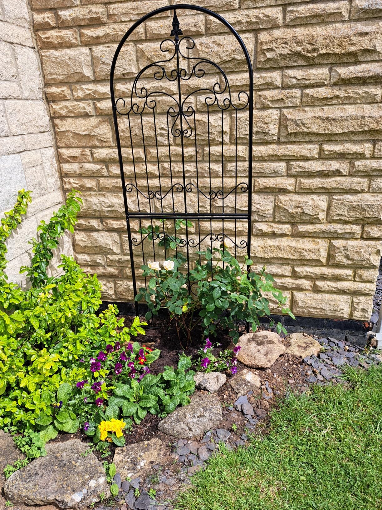 Customer photo