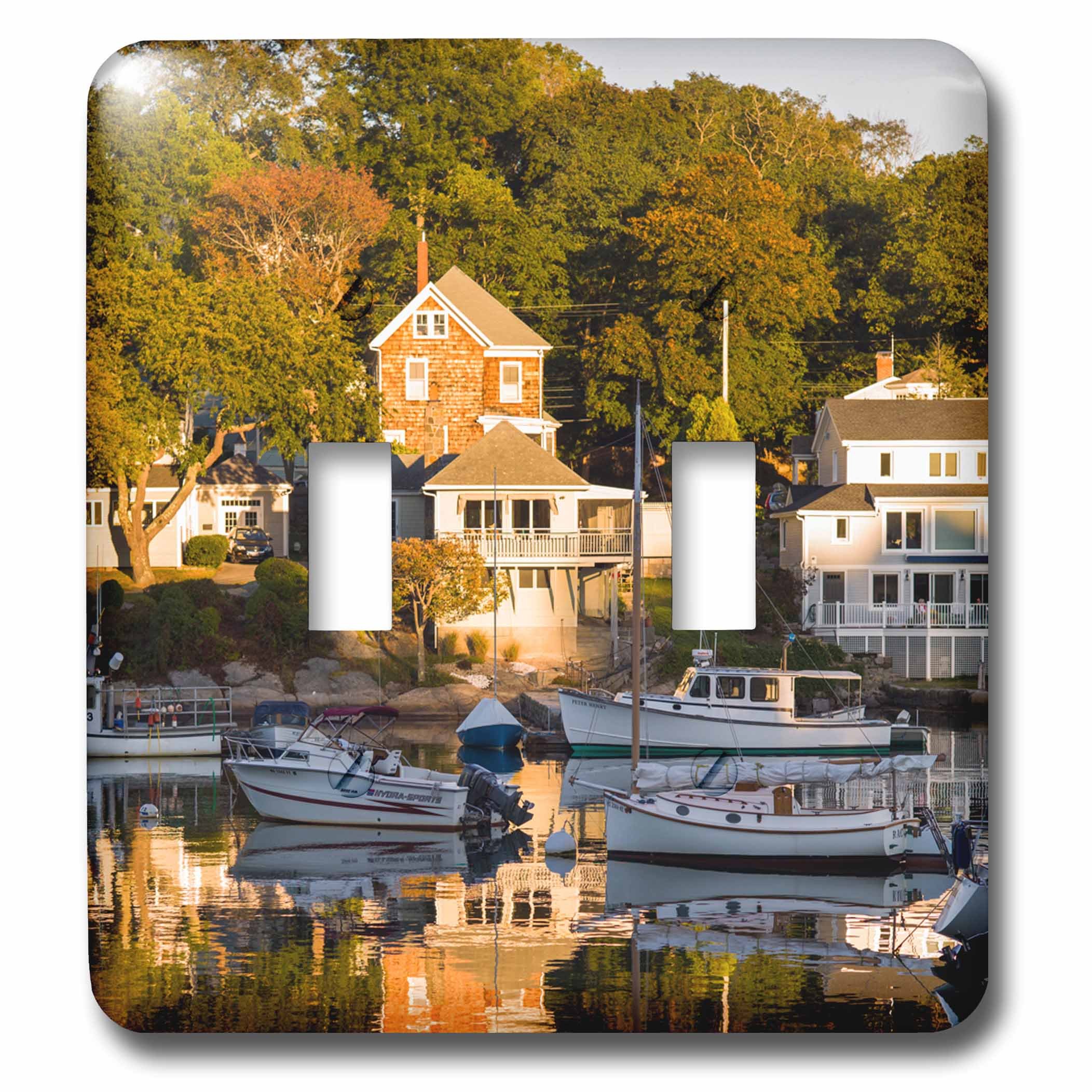 Double interrupteur 3D Rose Massachusetts pour remplacer une plaque usée