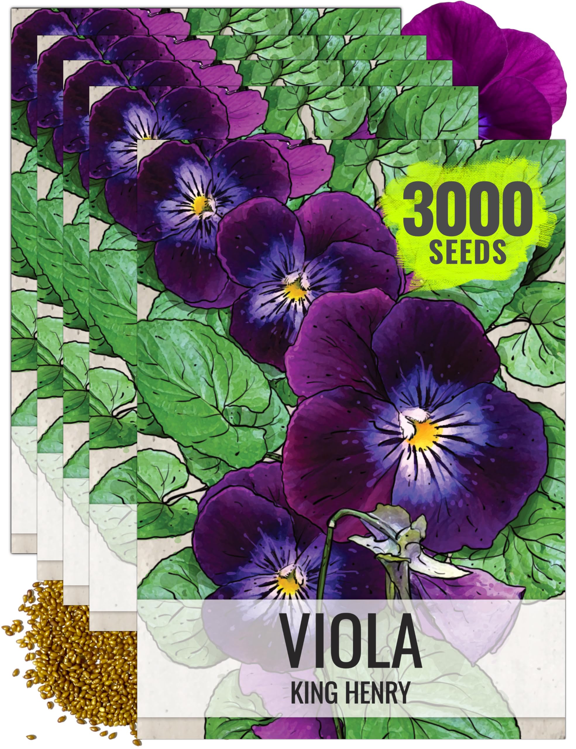 Seed Needs Viola Seeds for Planting King Henry Violas - Heirloom & Open Pollinated Annual Flower Seed to Plant an Outdoor Butterfly Wildflower Garden