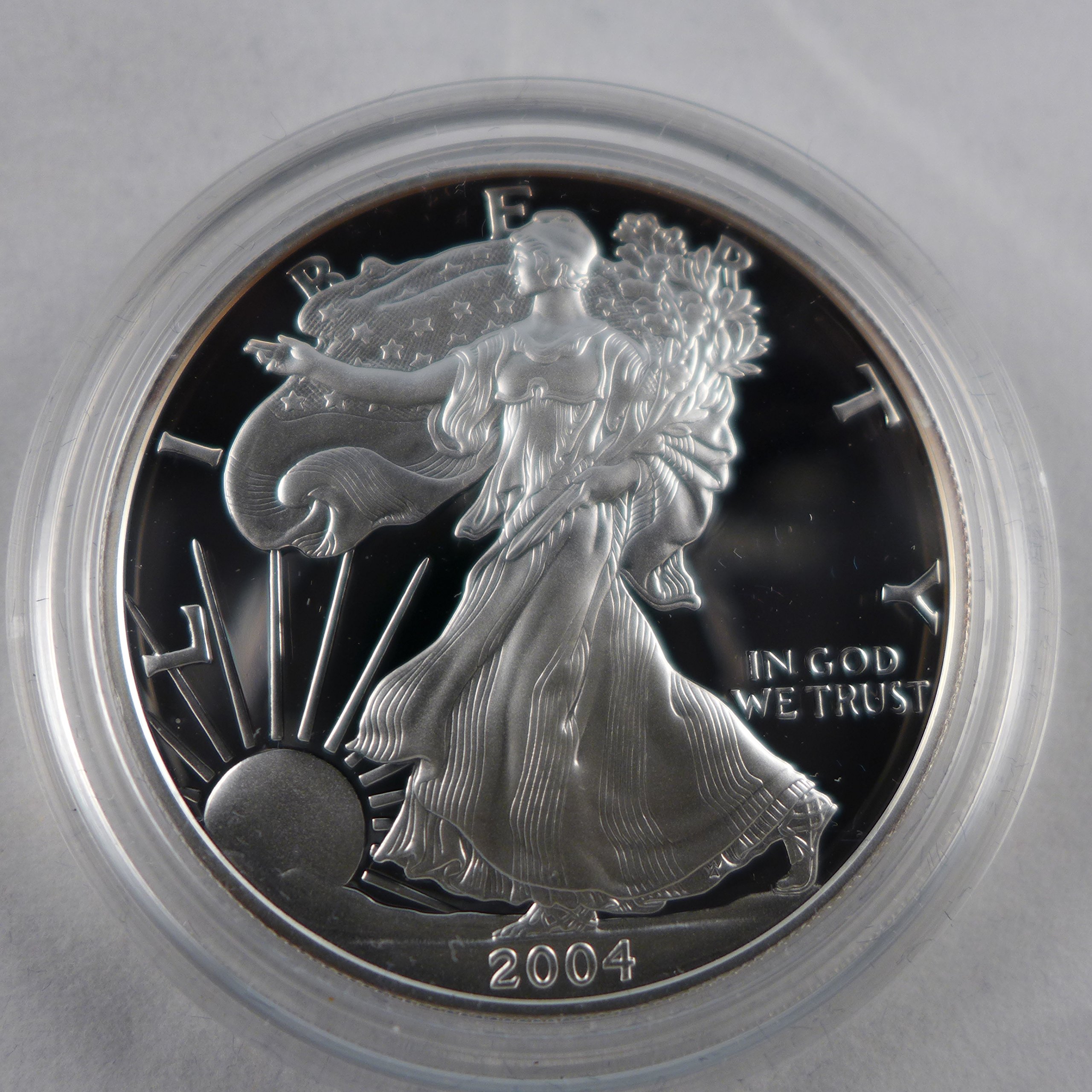 2004 W American Silver Eagle Proof at Amazon's Collectible Coins Store
