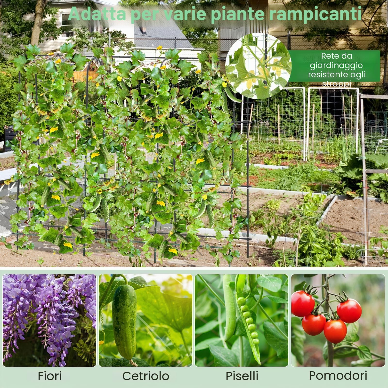 HOMASIS Traliccio per Rampicanti con Rete, Arco da Giardino con Struttura in Metallo, Supporto per Piante Rampicanti, Arco per Esterno, Nero e Verde (181 x 230 cm (L x A))