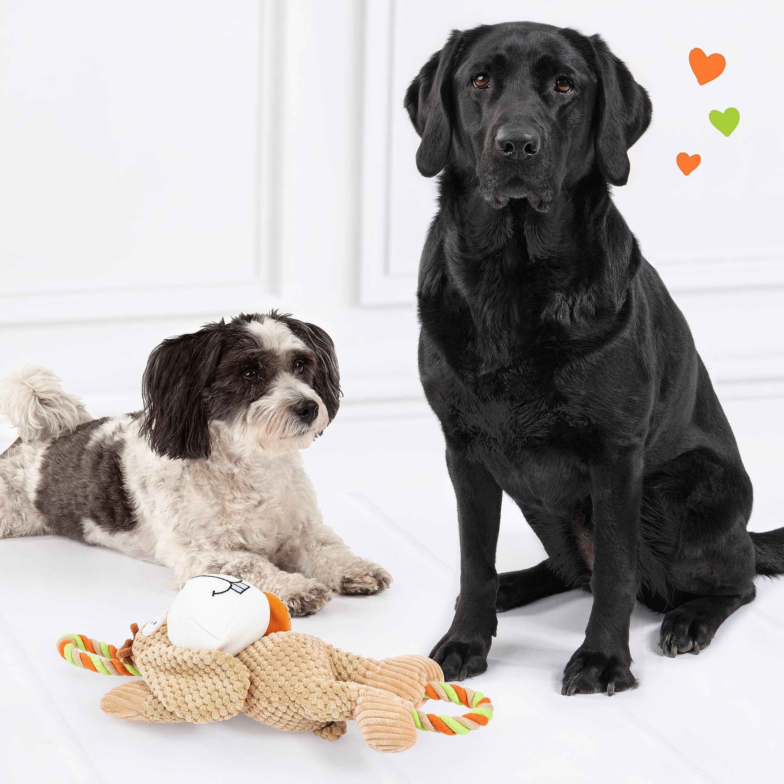 EDUPET 06008AA Dog Love Hundespielzeug im Hasen Design, mit Tau, quietschend