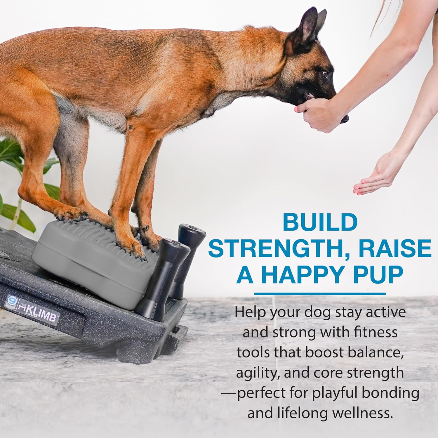 Blue-9 KLIMB Training Bundle with 2 Propel Platforms, Pump & Videos, Black