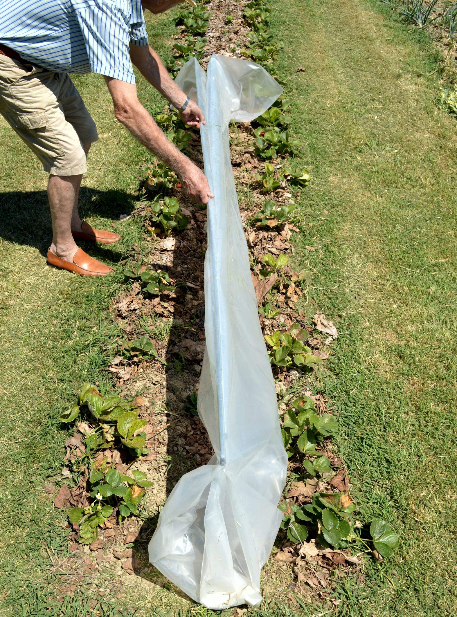 Mini serra 2 mt per orto e giardino