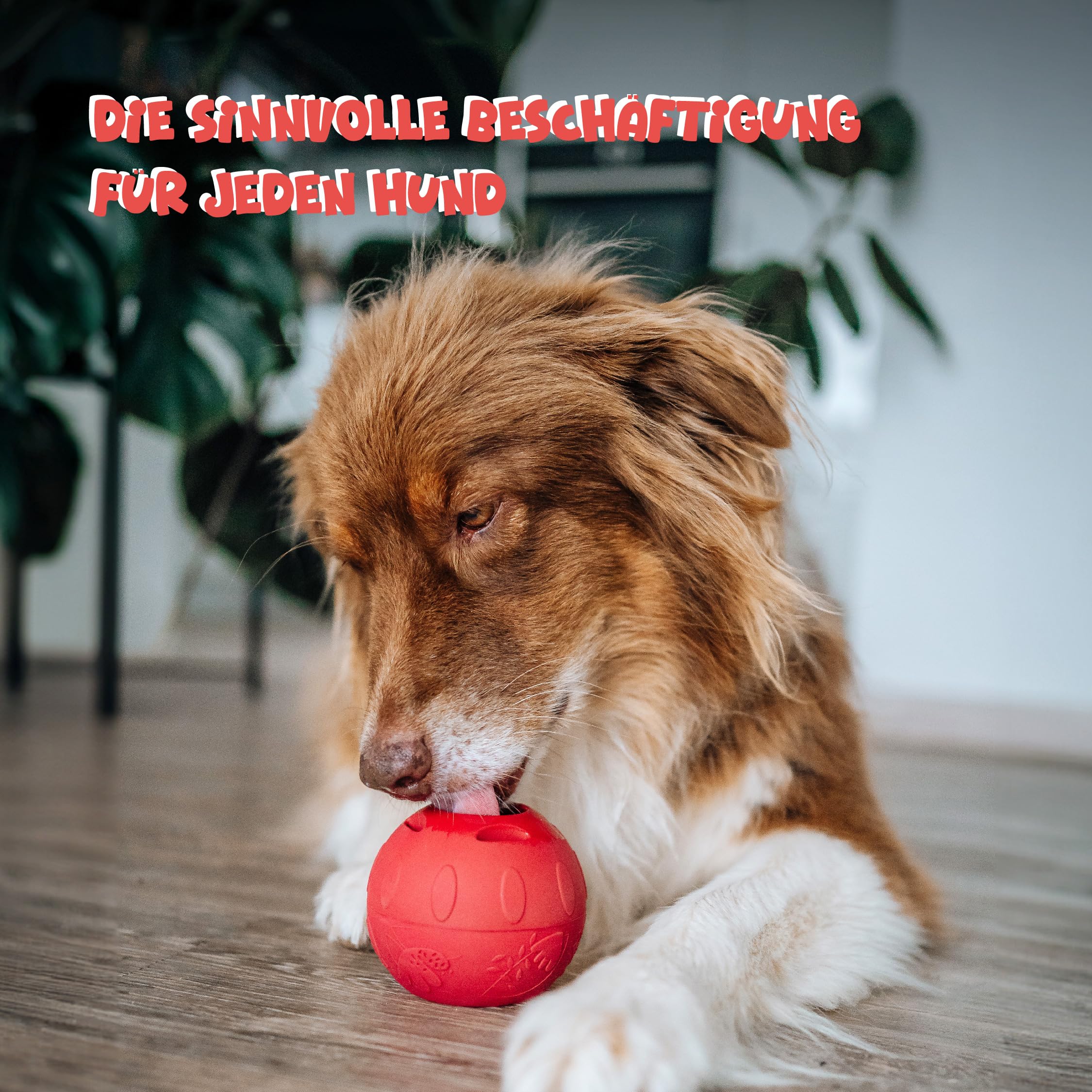 SmoothieDog Schleckball + SmoothieDog Hundesmoothie 6er Mix (250ml) - Schleckball für Hunde, Snackball, zur Beschäftigung, bpa frei, robust, befüllbar, zum einfrieren, spülmaschinenfest