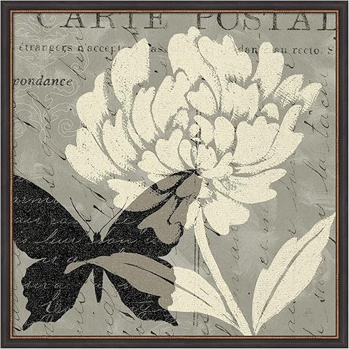 Amanti Art Framed Wall Art Print 43x43 Natural Prints I (floral butterfly) by Daphne Brissonnet, Animals Wall Art, Vintage Decor, Oversize Poster