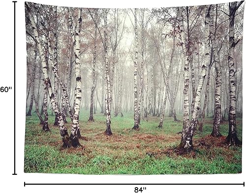 Miniatura 8 de CORFOTO Telón de fondo de tela de 7 x 5 pies, bosque natural, fotografía, árbol de abedul, jungla verde hierba, fondo de paisaje de verano para