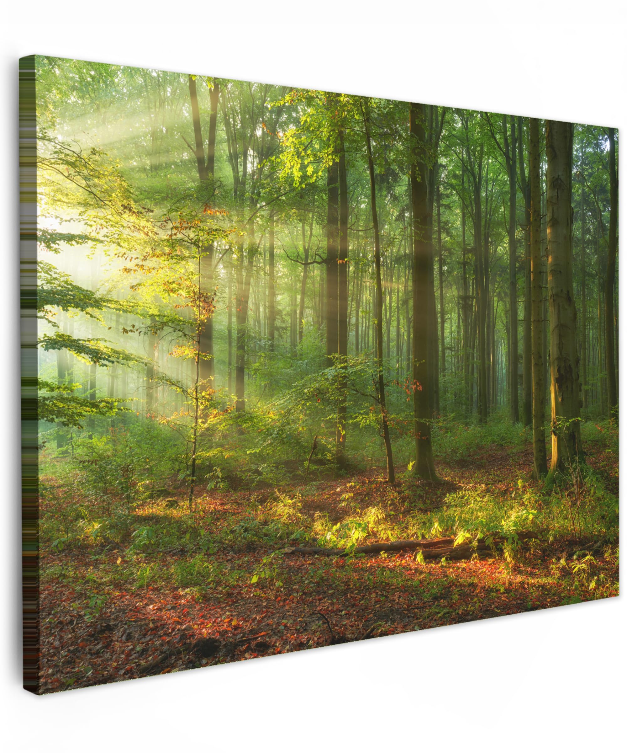 MuchoWow© Canvas Wall Art 16"x12" / 40x30 cm Decor Paintings Print framed on Canvas Pictures for Hallway Sun - Forest - Trees - Nature - Autumn