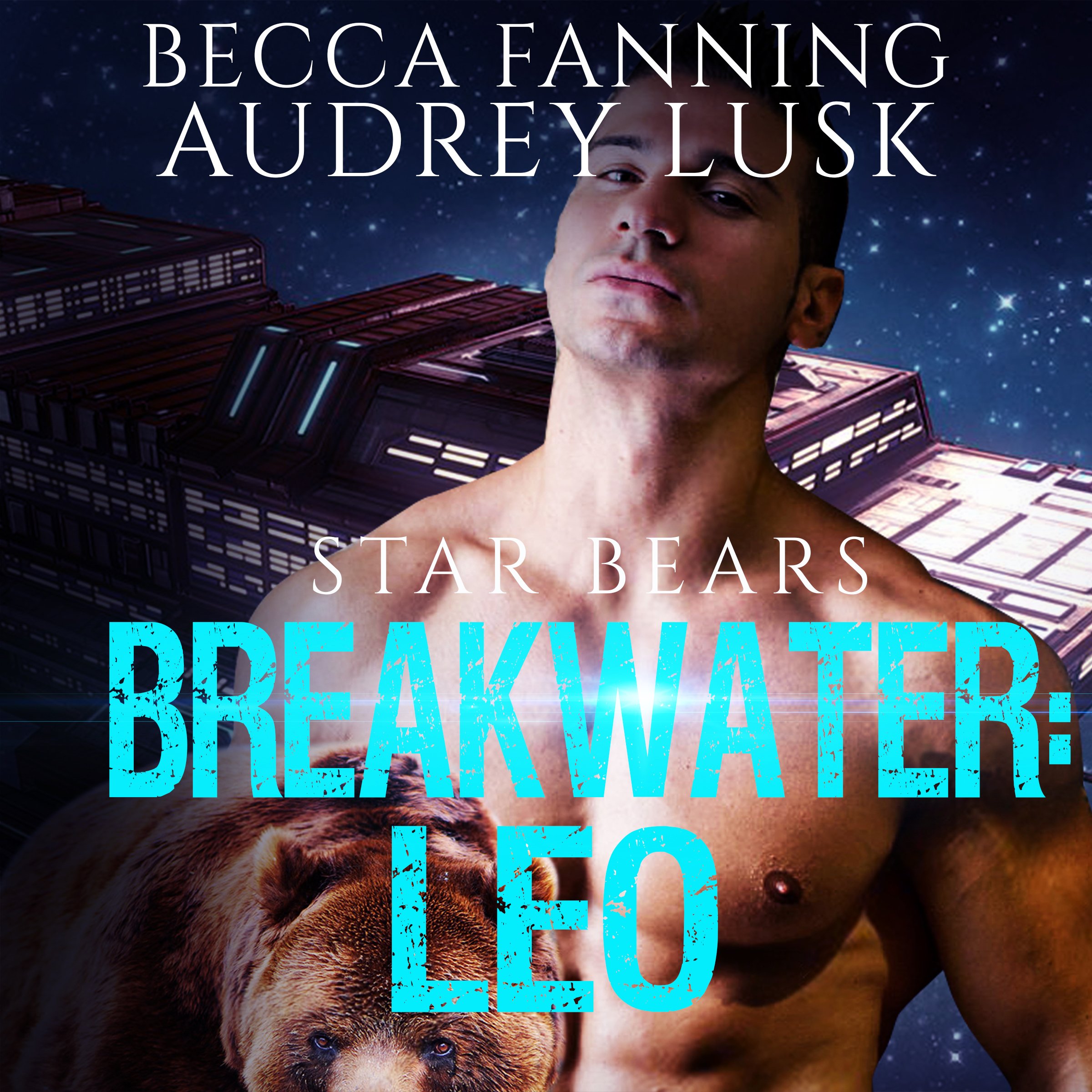 Cover art for Breakwater: Leo