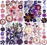 Vista 17 de Juego de 141 flores prensadas secas de otoño marrones para resina, juego de calcomanías de mariposa para Navidad, bricolaje, velas, jarrones