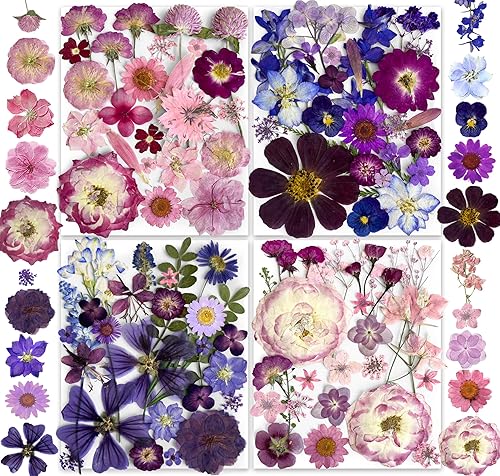 Miniatura 17 de 141 piezas de flores negras y rojas secas y prensadas para resina - Set de flores naturales reales de Youthbro, calcomanías de mariposas para hacer