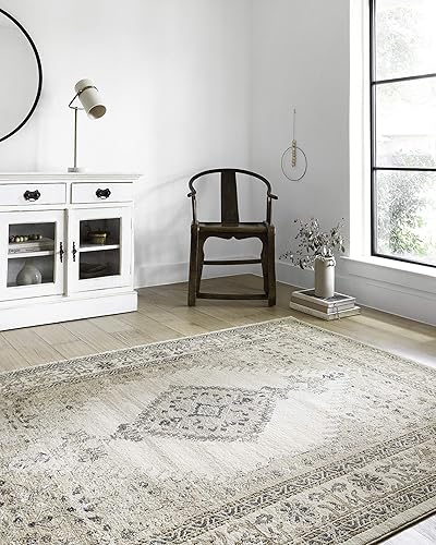 Loloi II Teagan - Tapete de área, 41.72 x 41.72 cm (1 pies - 6 pulgadas x 1 pies - 6 pulgadas) muestra Swatch, DenimMist.