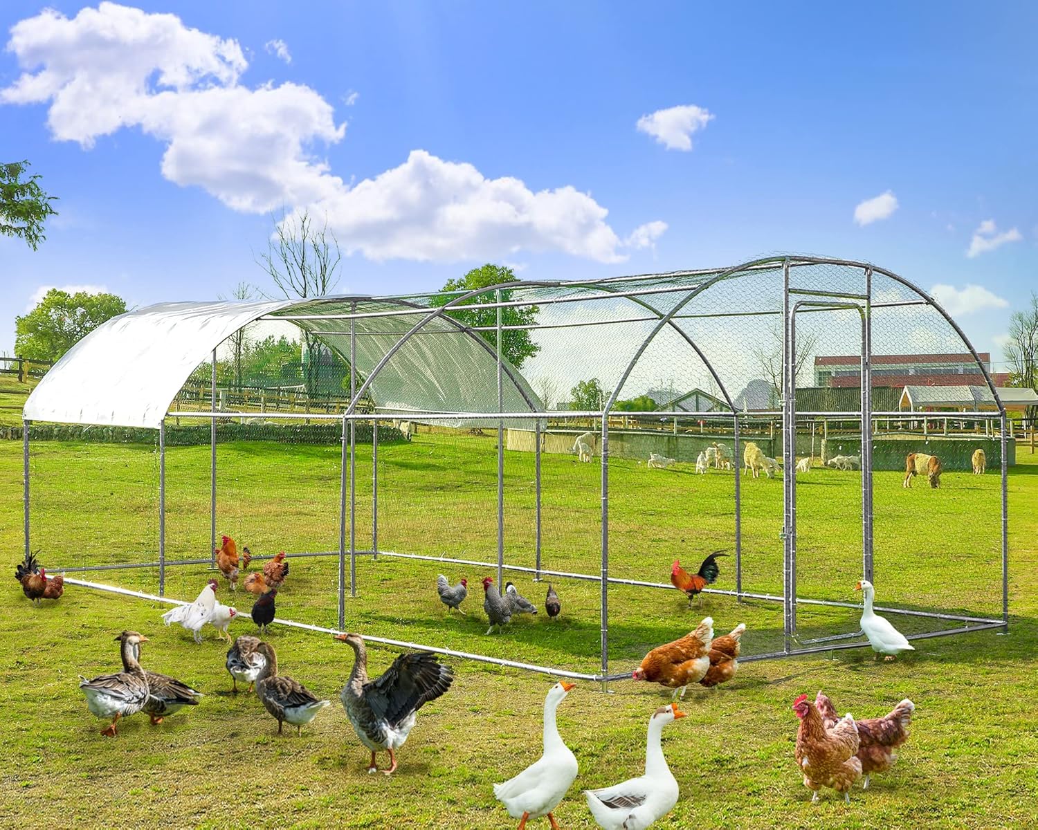 Grepatio Large Metal Chicken Coop Outdoor Chicken Coop Run