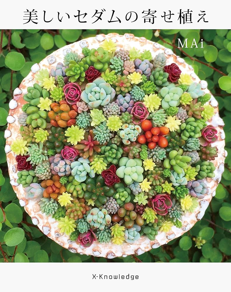 ★★セダム畑❤️★寄せ植え★ちまちまキュンキュン★このまま飾れます★多肉植物 セダムの寄せ植え大全 – 丸善ジュンク堂書店ネットストア