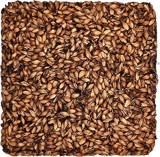 Home Brew Ohio Special B Grain 5lb