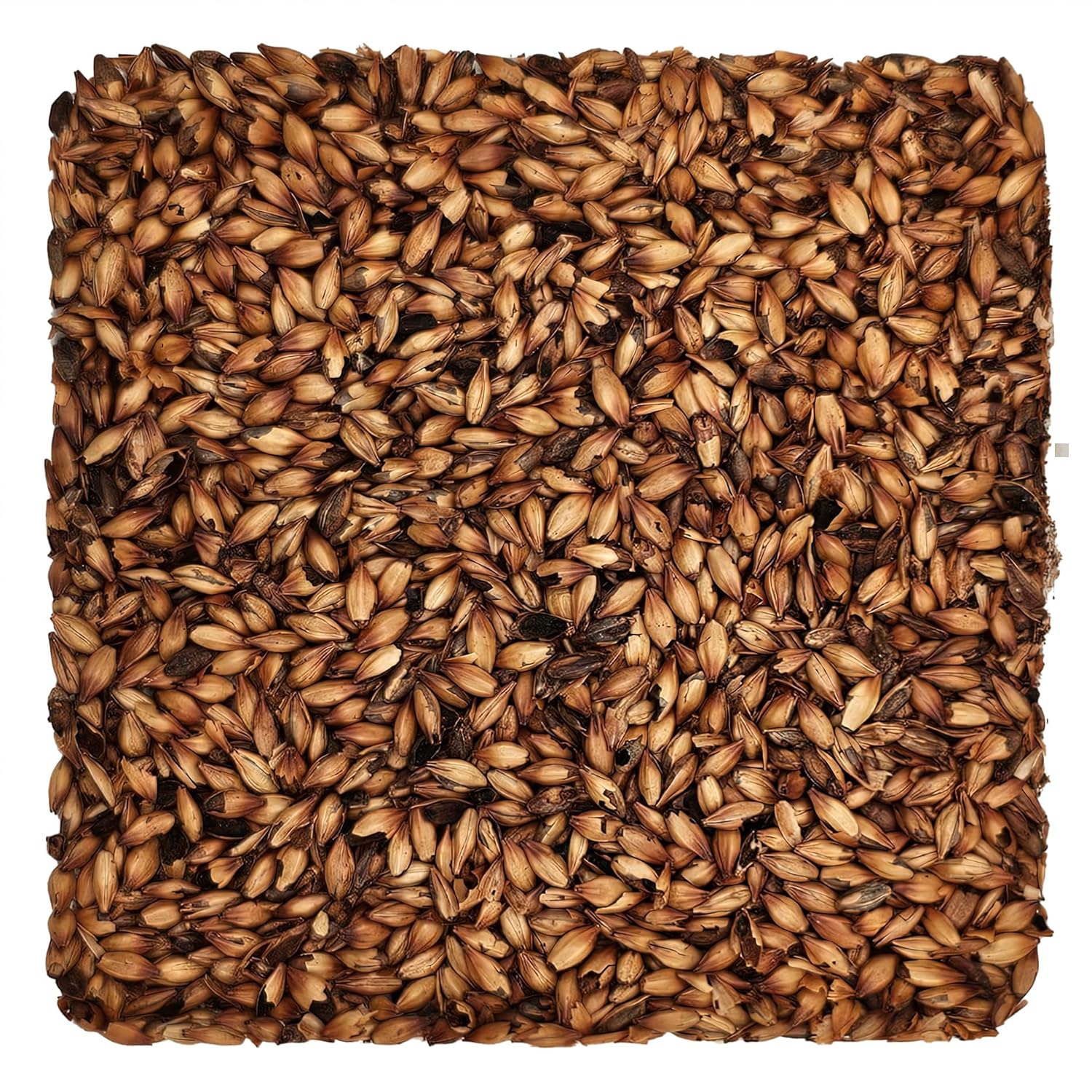 Home Brew Ohio Special B Grain 5lb
