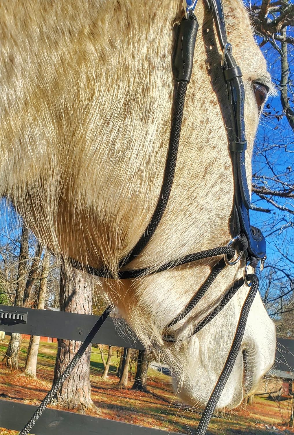 UBB Leather Anatomic Bitless Bridle
