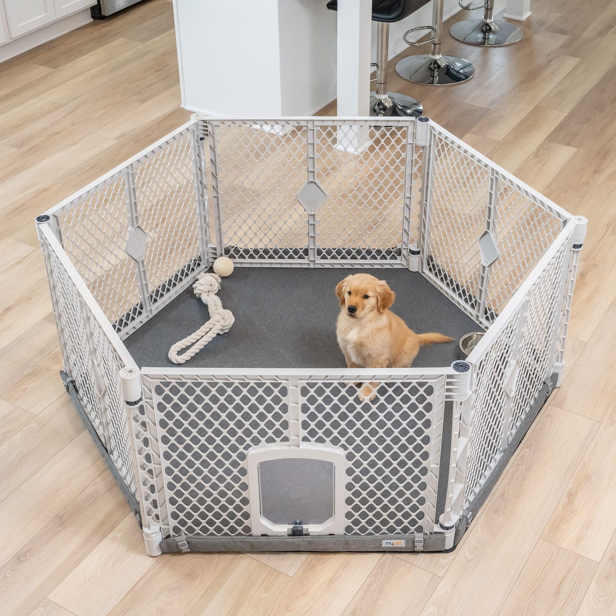 Amazon.com: MyPet Petyard Protect Bundle: Freestanding 6-Panel